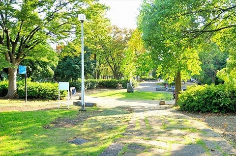 等々力緑地　距離約650m