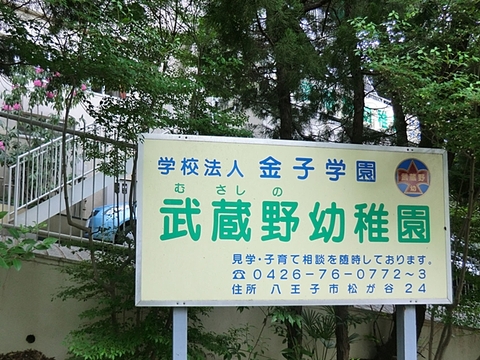 武蔵野幼稚園　距離約550m