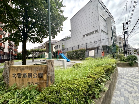 道路沿いに立つ建物と周辺の緑地帯