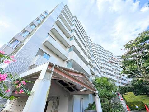 お気軽にお問い合わせください