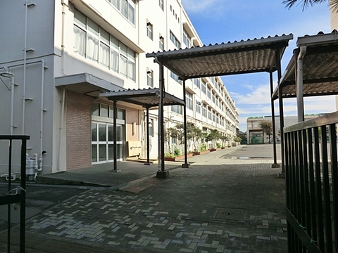 横浜市立新田中学校　距離約1200m