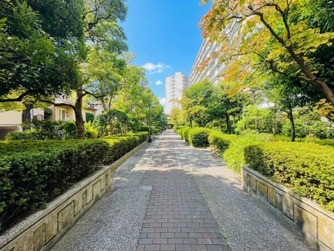 緑豊かな遊歩道と周辺の住宅街が見える景観