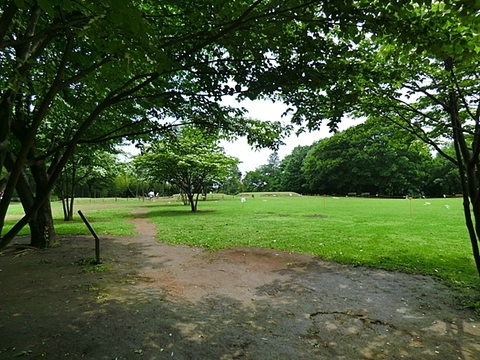 大塚・歳勝土遺跡公園　距離約1200m