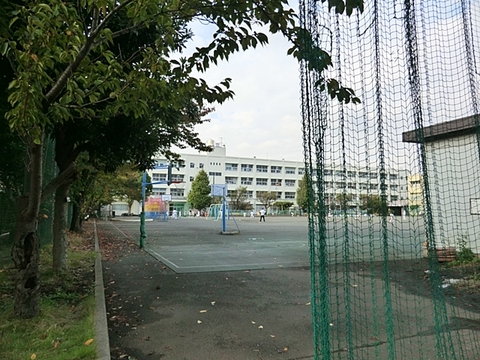 横浜市立大綱小学校まで約260m