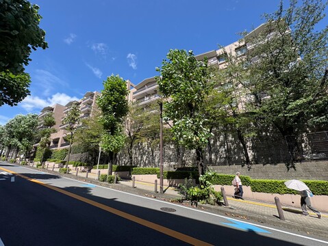 緑の多い通り沿いに建つ集合住宅
