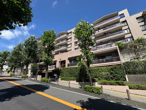 植栽のある集合住宅の外観と前面道路