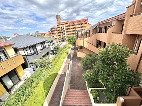 建物に囲まれた細い通路と植栽
