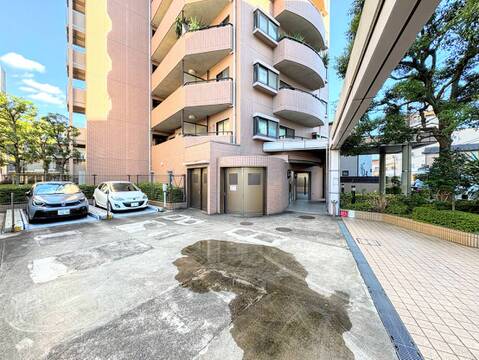 マンション外観と前面道路、植栽の様子