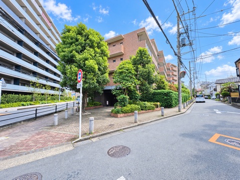 建物沿いの歩道と街路樹がある周辺道路
