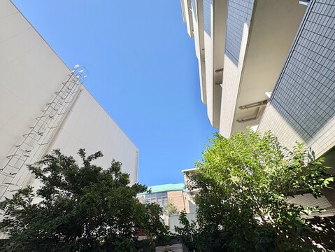 建物に囲まれた中庭と青空