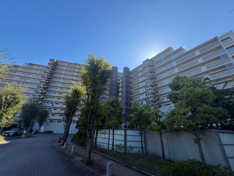 〇お問い合わせはお気軽に〇