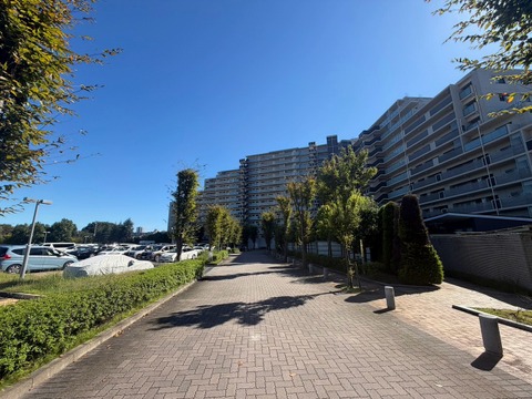 〇お問い合わせはお気軽に〇