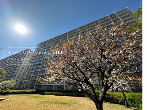 志木ニュータウン中央の森参番街 7号棟