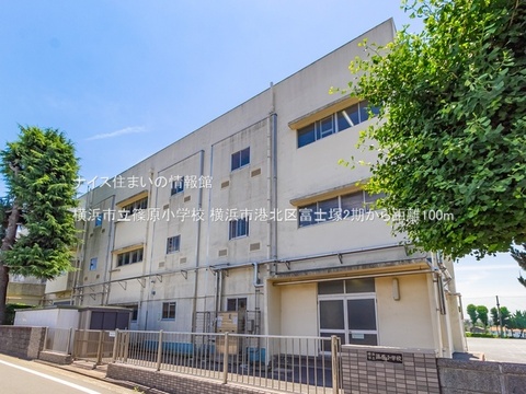 横浜市立篠原小学校(徒歩2分)