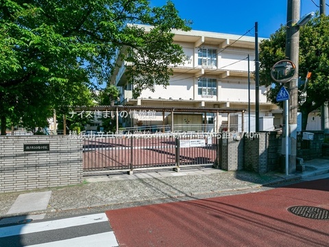 横浜市立白幡小学校(徒歩10分)