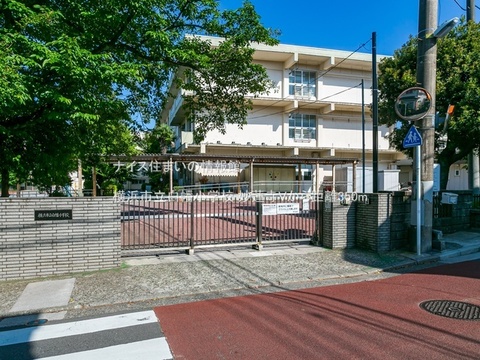 横浜市立白幡小学校(徒歩5分)