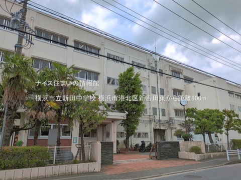 横浜市立新田中学校(徒歩10分)