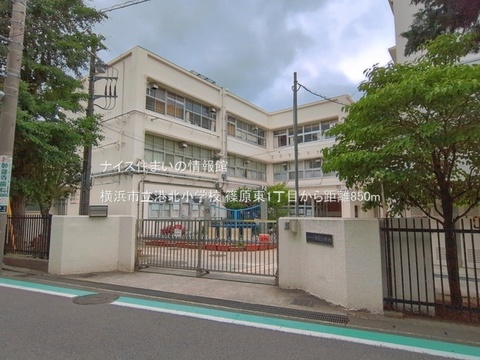 横浜市立港北小学校(徒歩11分)