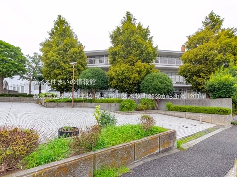 横浜市立本牧中学校(徒歩15分)