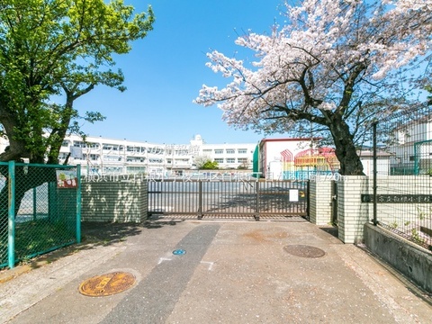 横浜市立白根小学校(徒歩9分)