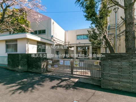 横浜市立常盤台小学校(徒歩9分)
