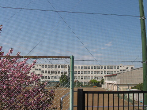 横浜市立旭中学校(徒歩6分)