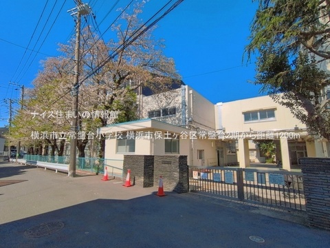 横浜市立常盤台小学校(徒歩15分)