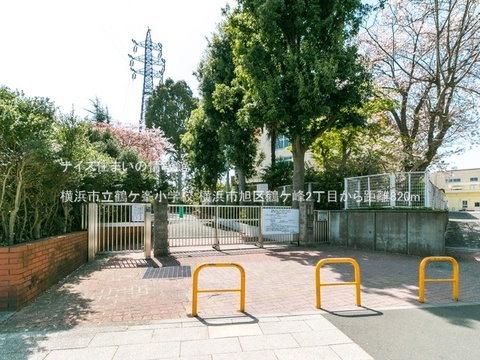 横浜市立鶴ケ峯小学校(徒歩11分)