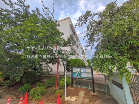 横浜市立笹野台小学校(徒歩6分)