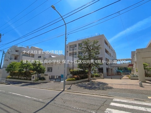 横浜市立仏向小学校(徒歩17分)