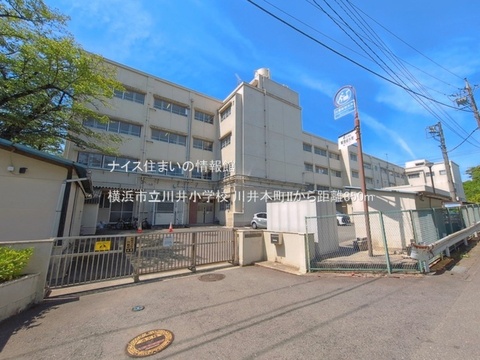 横浜市立川井小学校(徒歩11分)