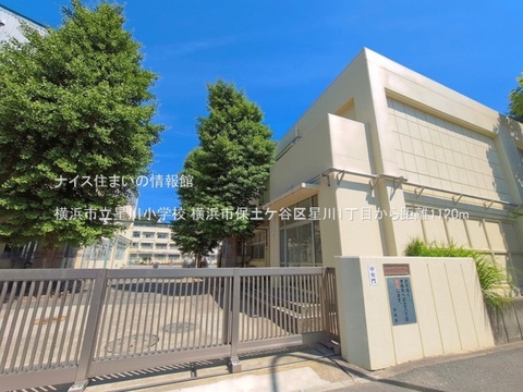 横浜市立星川小学校(徒歩14分)