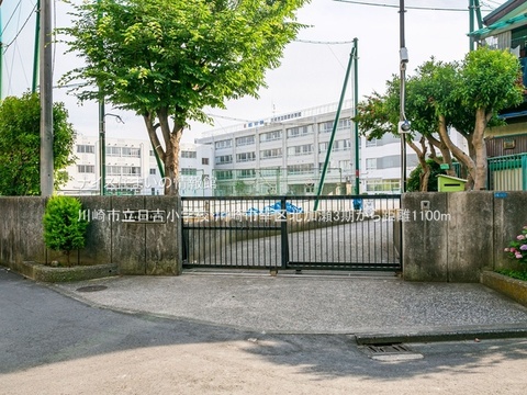 川崎市立日吉小学校(徒歩14分)