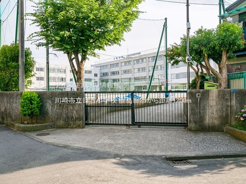 川崎市立日吉小学校(徒歩15分)