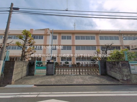 川崎市立向小学校(徒歩4分)