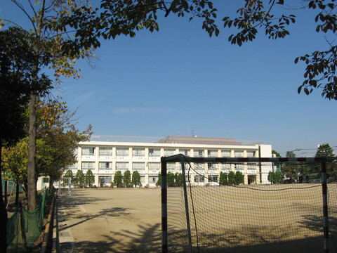 川崎市立新城小学校(徒歩11分)