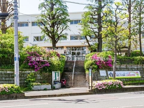 横浜市立上末吉小学校(徒歩8分)