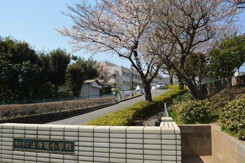 横浜市立上寺尾小学校(徒歩10分)