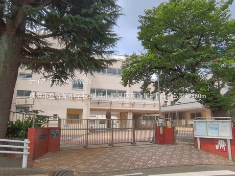 横浜市立寺尾小学校(徒歩11分)