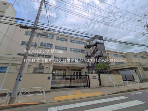目黒区立中根小学校(徒歩13分)