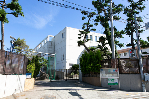 茅ヶ崎市立松浪小学校(徒歩14分)