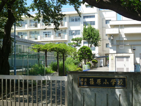 横浜市立篠原小学校(徒歩8分)