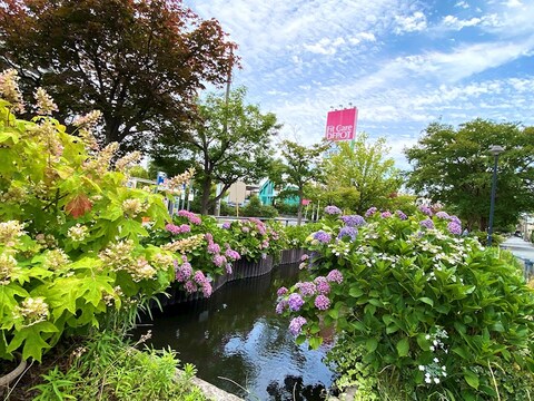 江川せせらぎ遊歩道(徒歩2分)