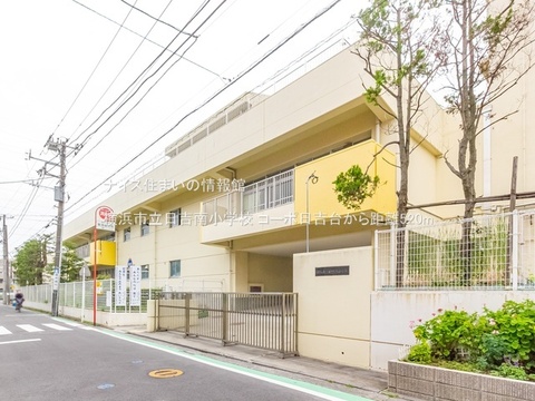 横浜市立日吉南小学校(徒歩7分)