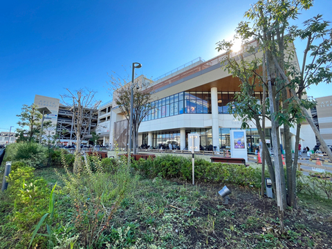 APITA TERRACE（アピタ テラス）横浜綱島(徒歩5分)