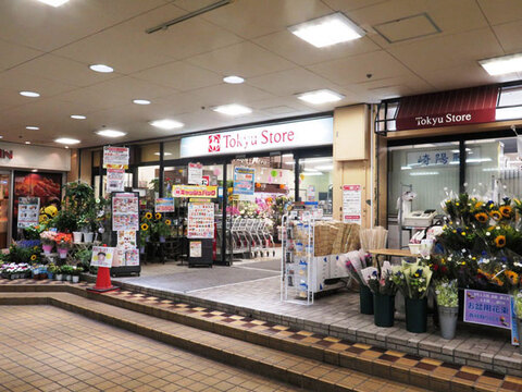 東急ストア 菊名店(徒歩7分)