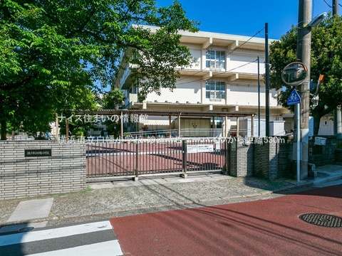 横浜市立白幡小学校(徒歩7分)