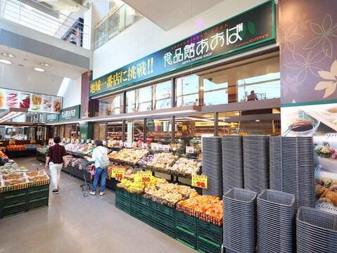 食品館あおば 新羽店(徒歩11分)