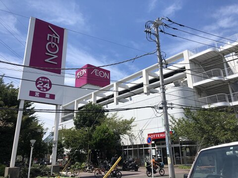 イオン駒岡店(徒歩3分)
