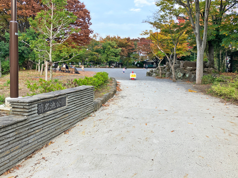 菊名池公園(徒歩8分)
